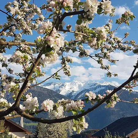 Bergverliebt Mieming