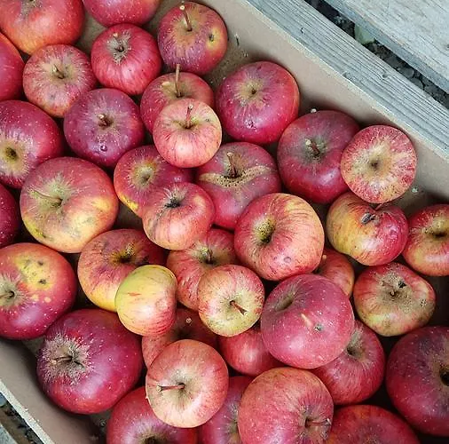 Bergverliebt Lägenhet *