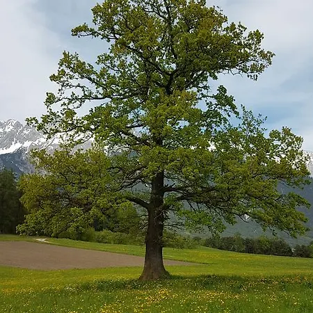 Bergverliebt Appartement Mieming