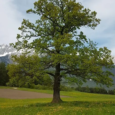 Bergverliebt Apartman Mieming
