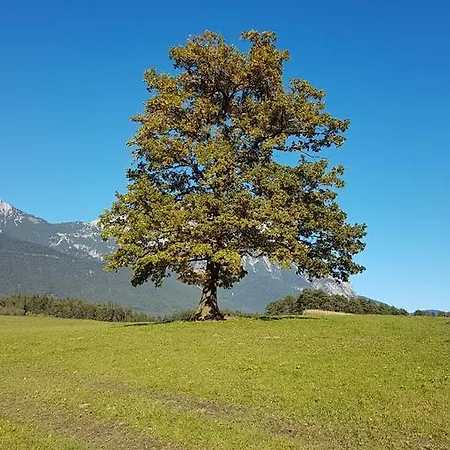 Bergverliebt * Mieming